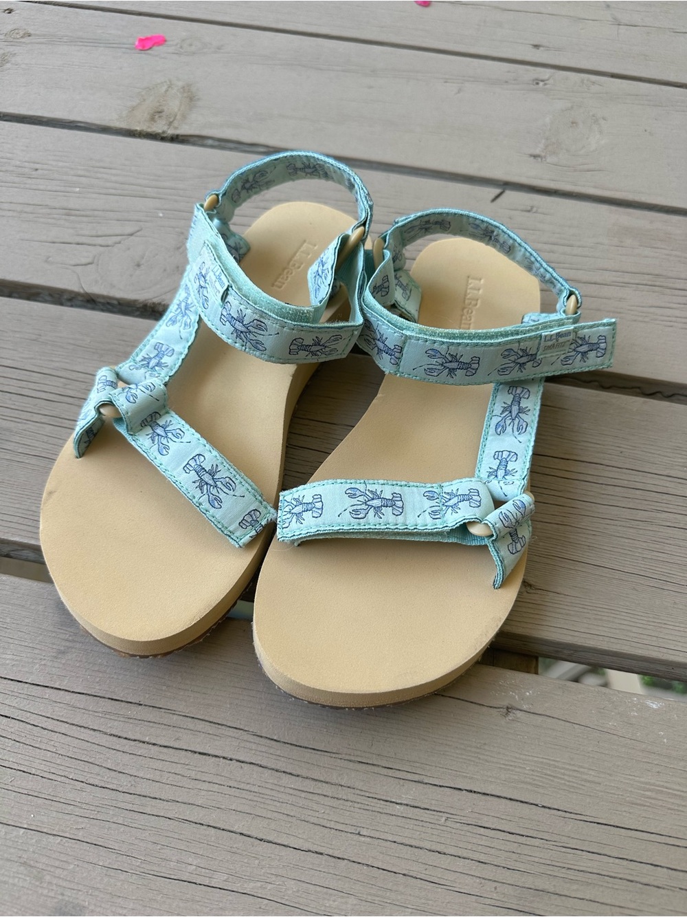 L.L. Bean  Sara Fitz Light Aqua Printed Strap Sandals size 7 like NEW